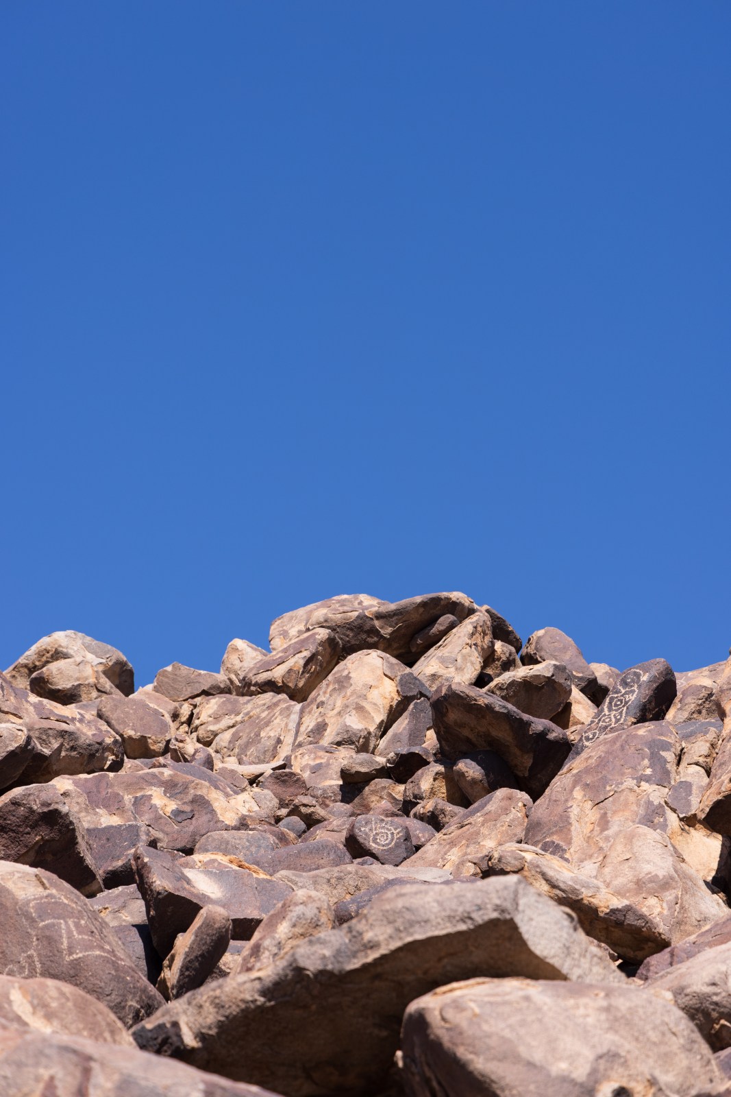 Petroglyphs at Ironwood Forest National Monument