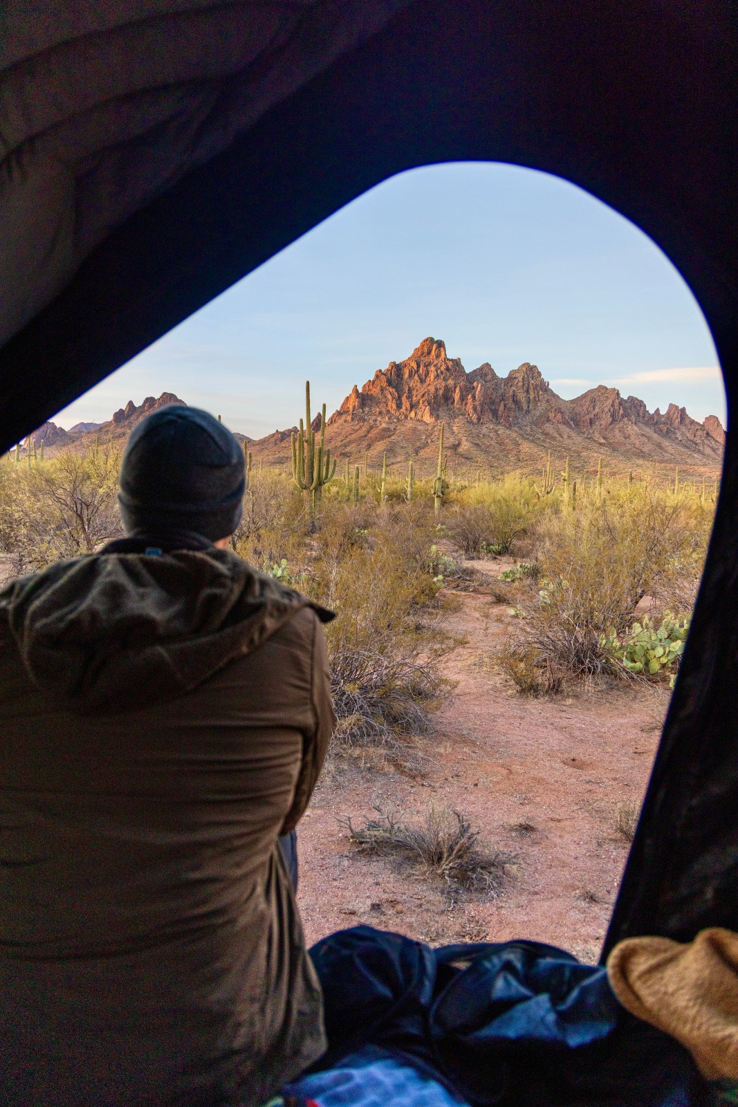 Camping in Ironwood Forest National Monument