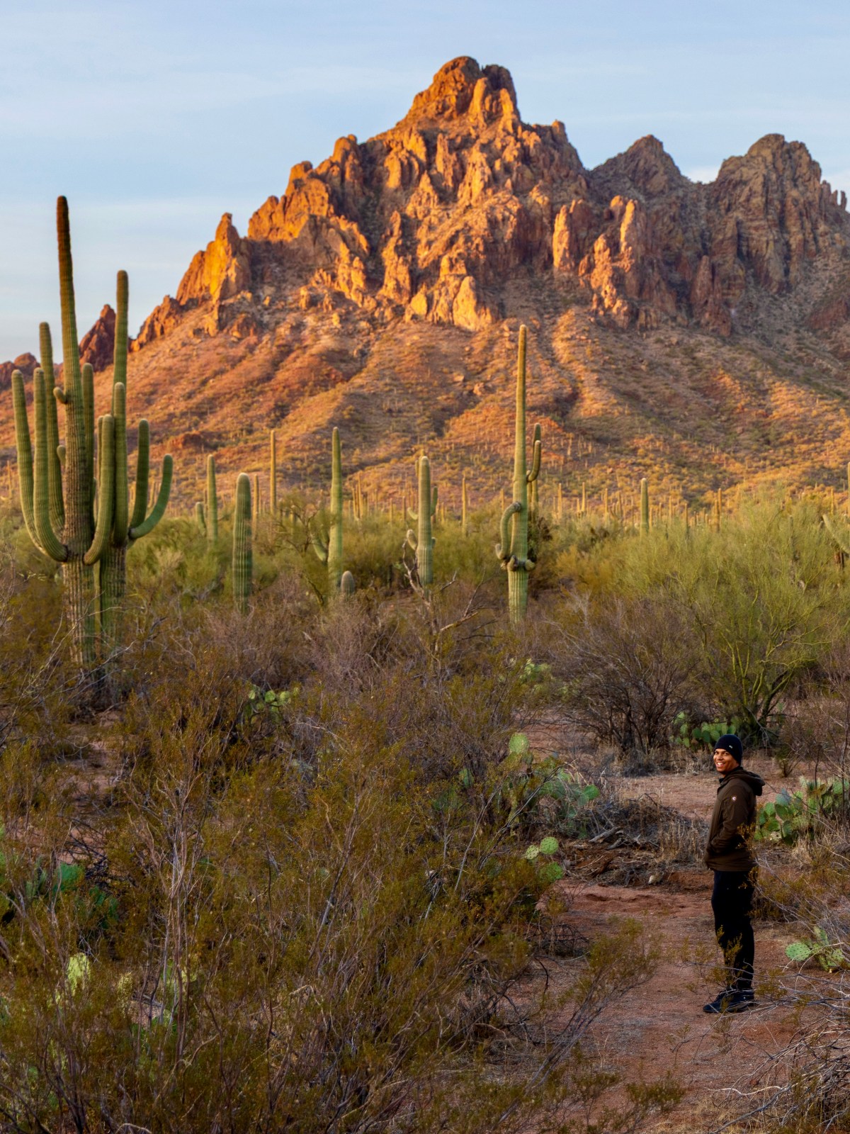 Ironwood Forest National Monument