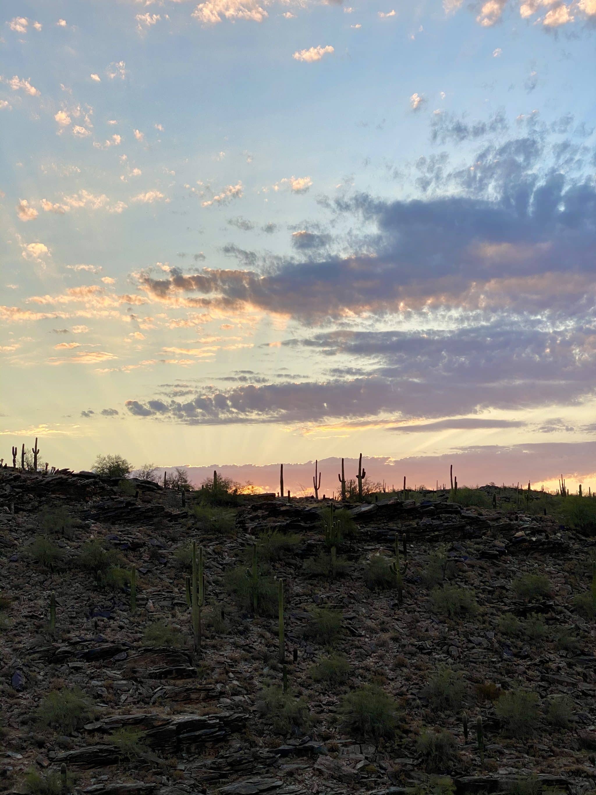Holbert Trail to Dobbins Lookout