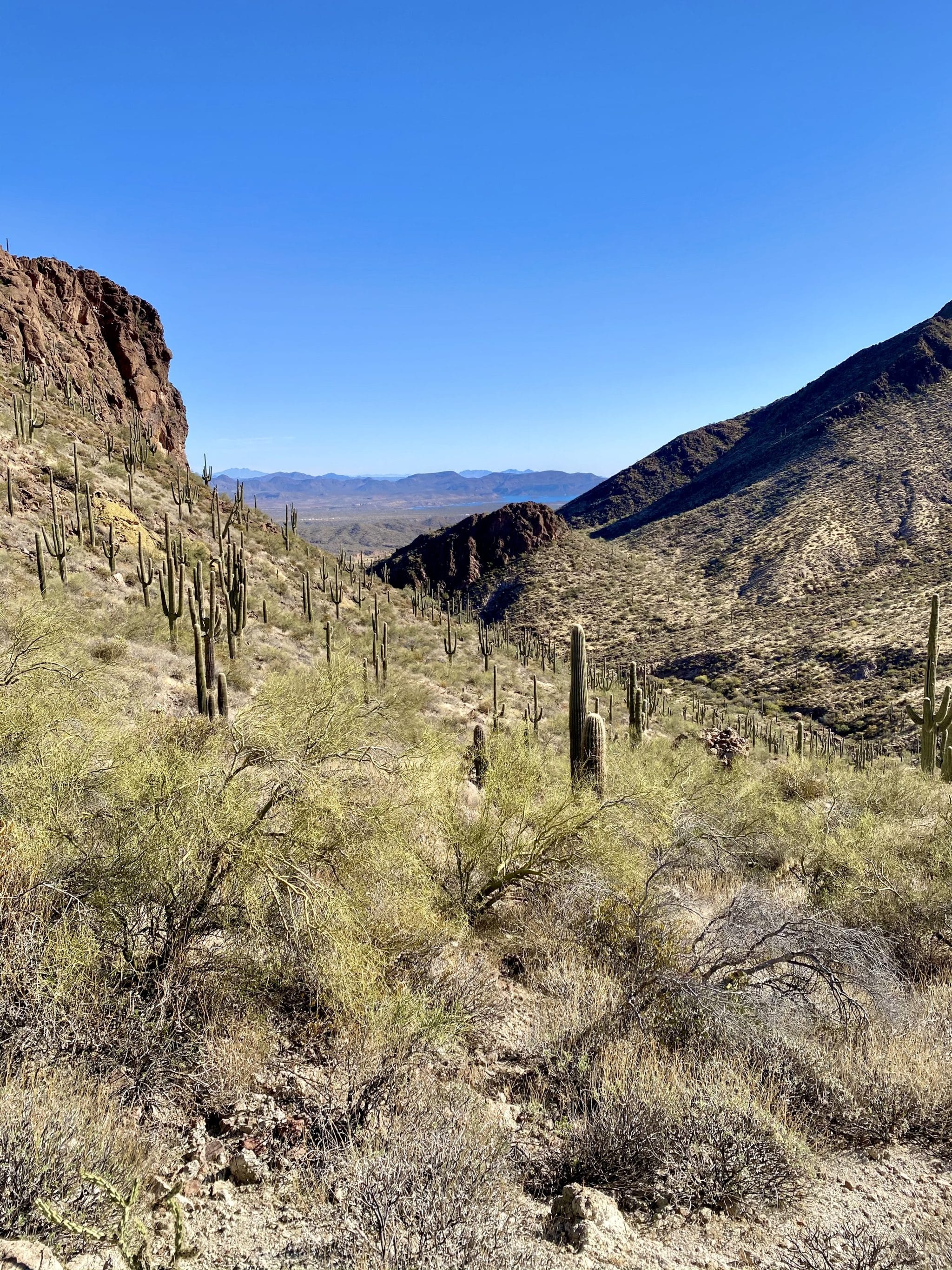 Governors Peak, Arizona