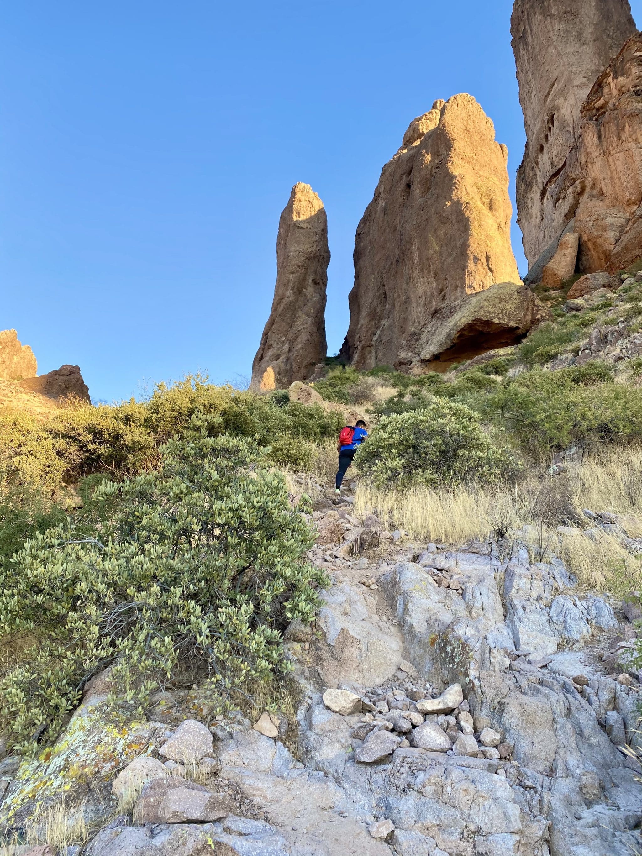 Praying Hands, Lost Dutchman State Park