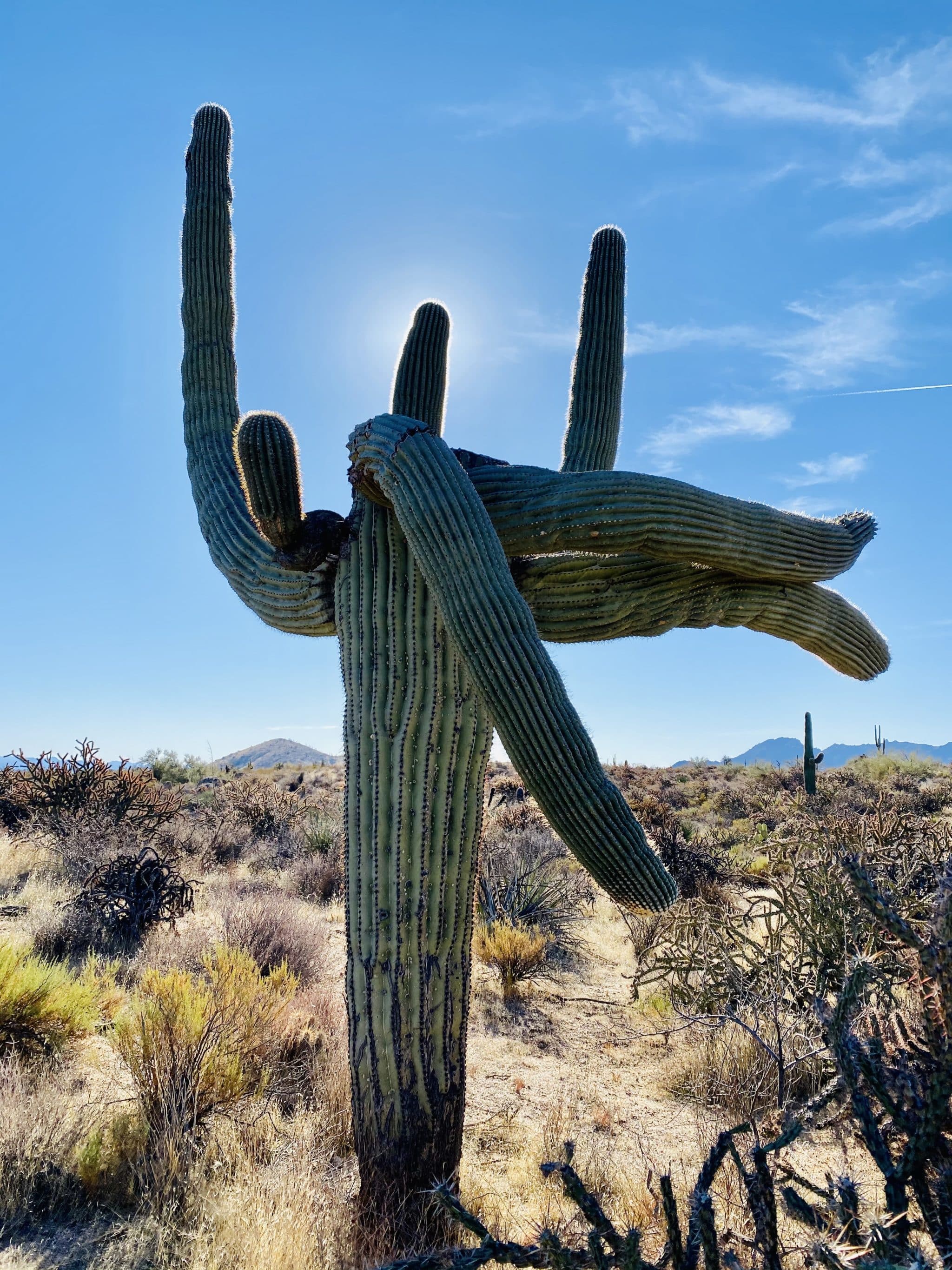 Brown's Ranch to Balanced Rock