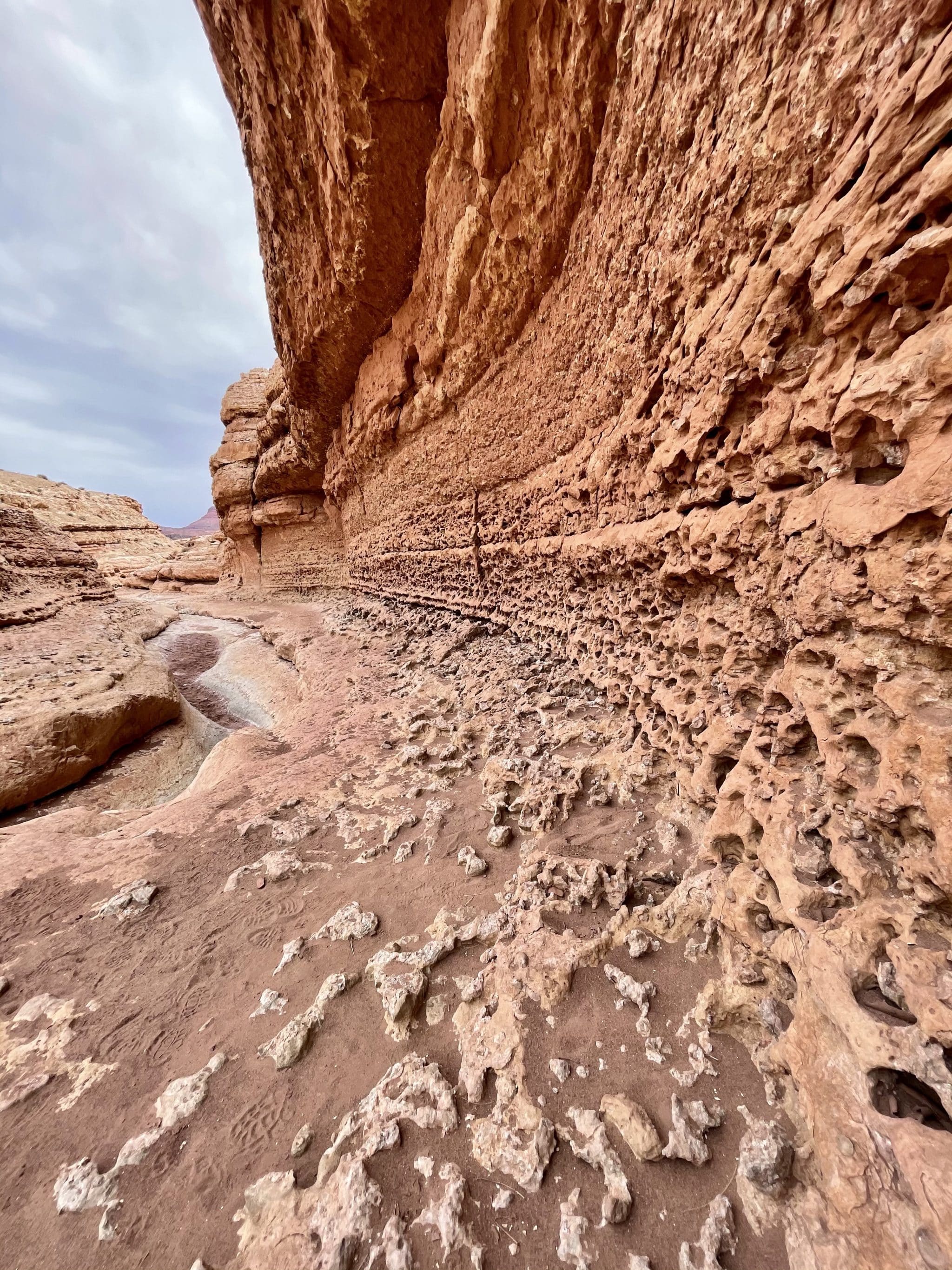 Cathedral Wash Trail at Lees Ferry in Glen Canyon National Park