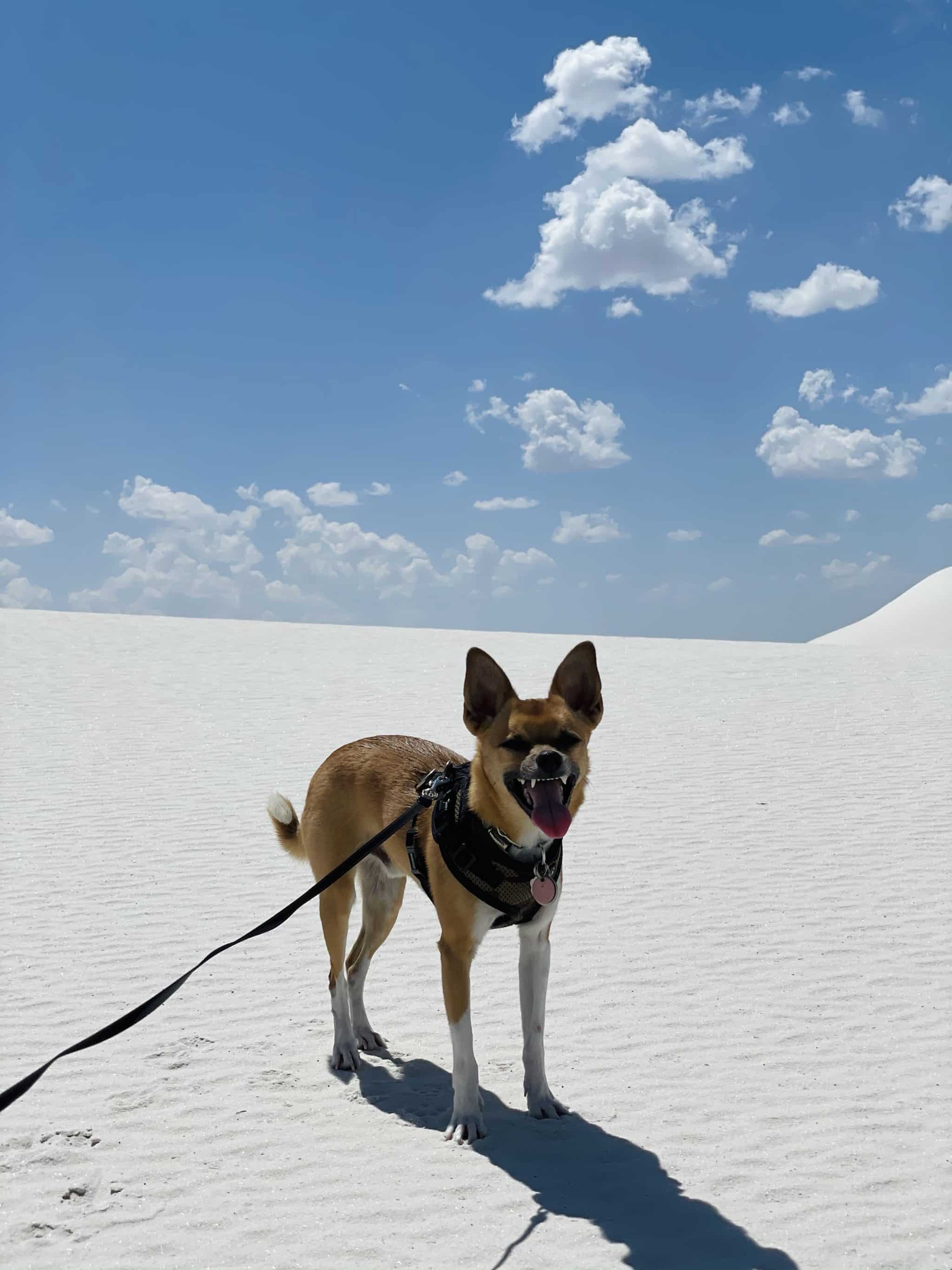 White Sands National Park