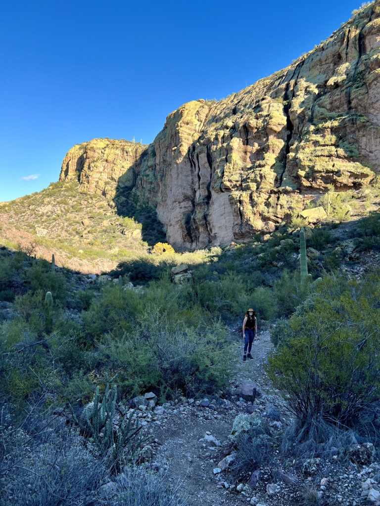 Hackberry Spring Trail, Superstition Wilderness of Tonto National Forest. 5 Must do Hikes in the Superstitions