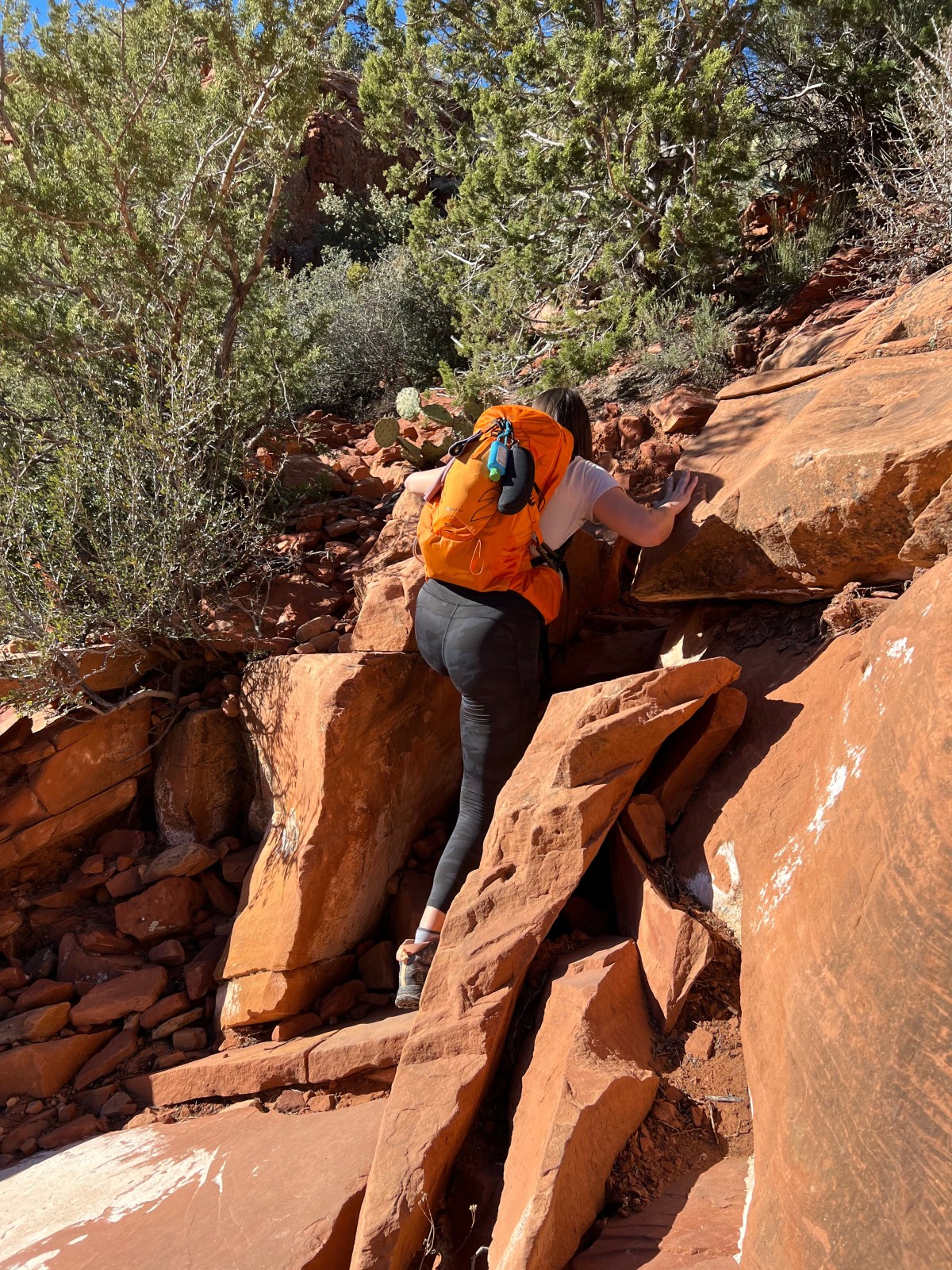 Sedona Hike. Bear Mountain