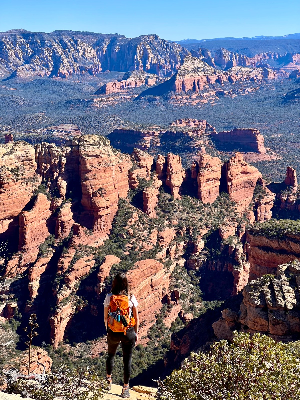 Sedona Hike. Bear Mountain