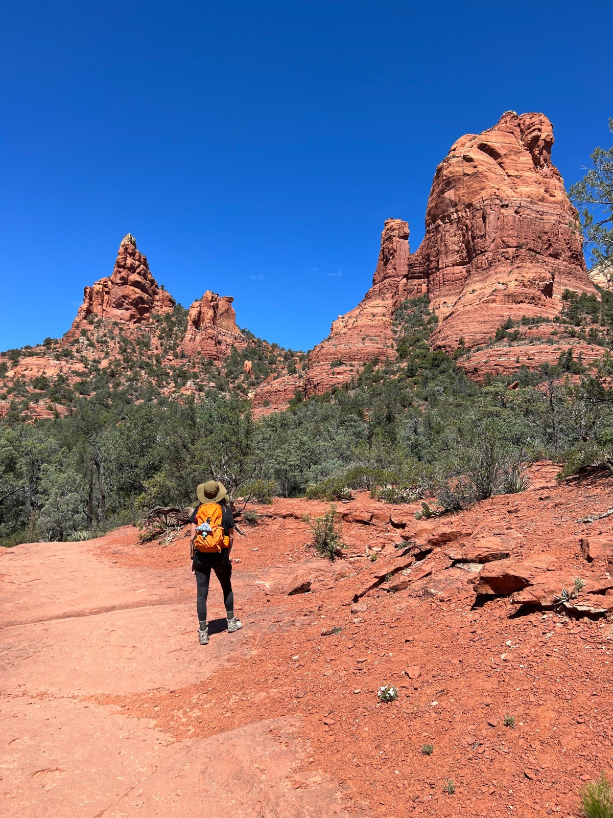 Sedona Hike, Brins Mesa and Soldier Pass Loop. Red Rock Ranger District. Jordan Trail