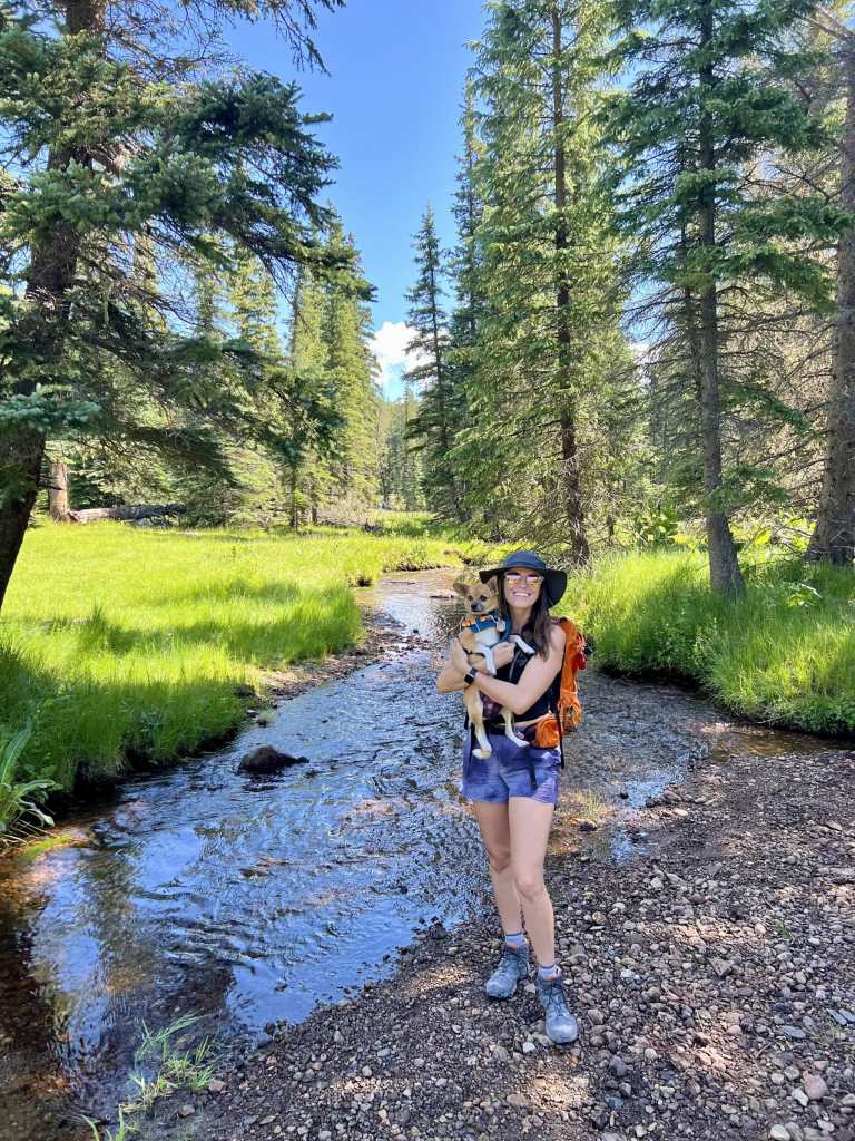 West Baldy Trail in the White Mountains of the Apache-Sitgreaves National Forest