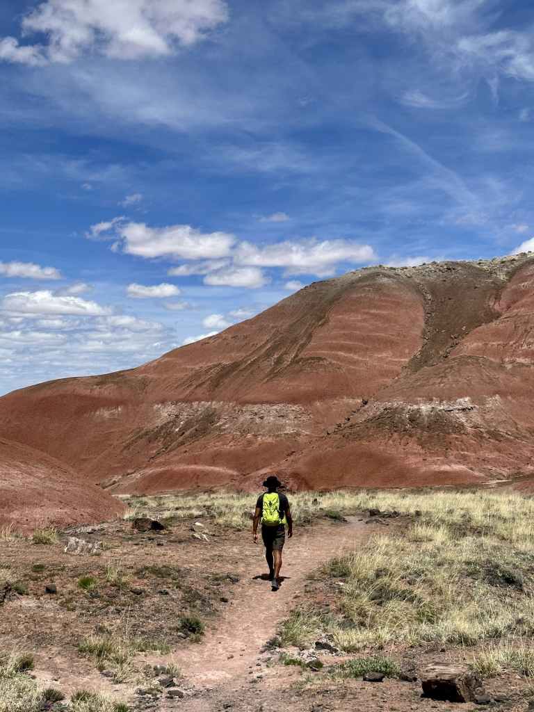 Painted Desert at Petrified Forest National Park