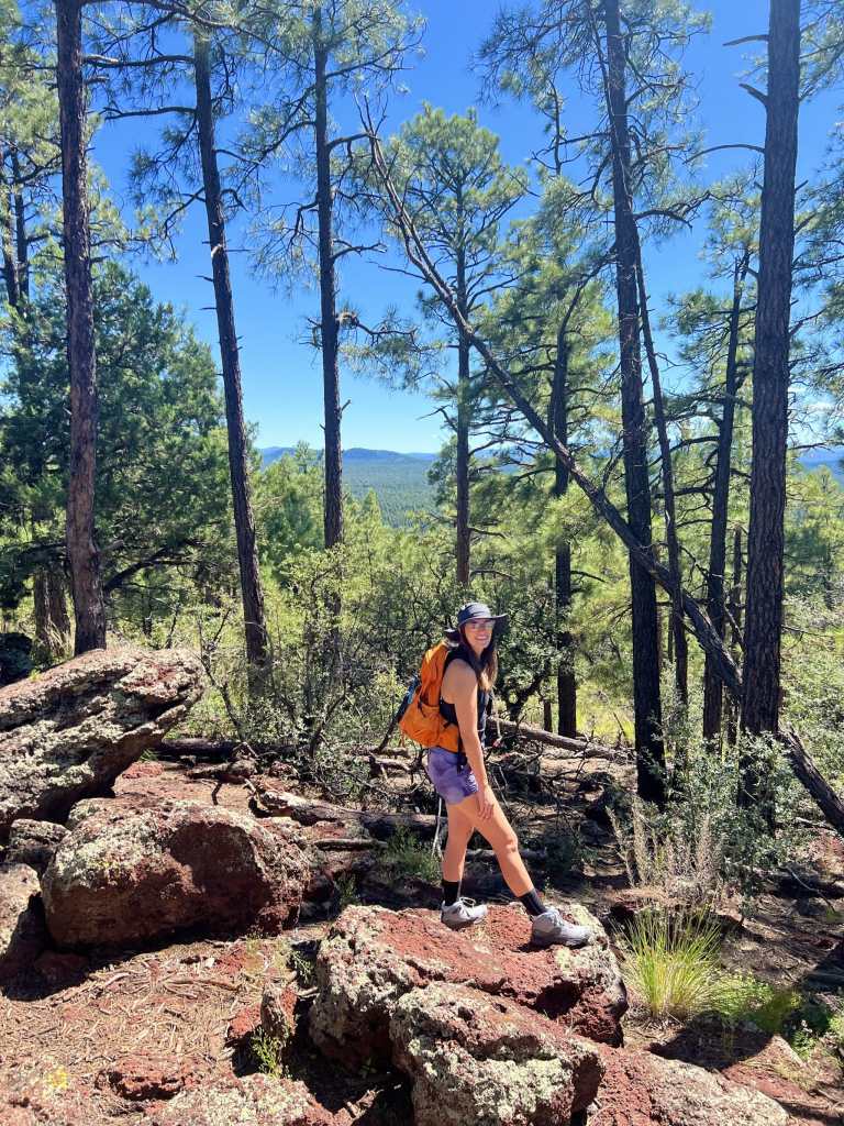 Pat Mullen Trail in the White Mountains of the Apache-Sitgreaves National Forest near Pinetop-Lakeside, Arizona