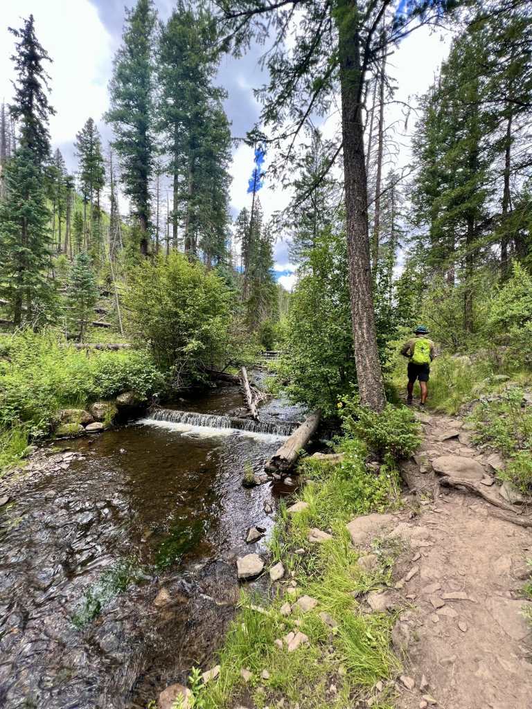 Government Springs 95A Trail in the White Mountains of the Apache-Sitgreaves National Forest near Greer, Arizona