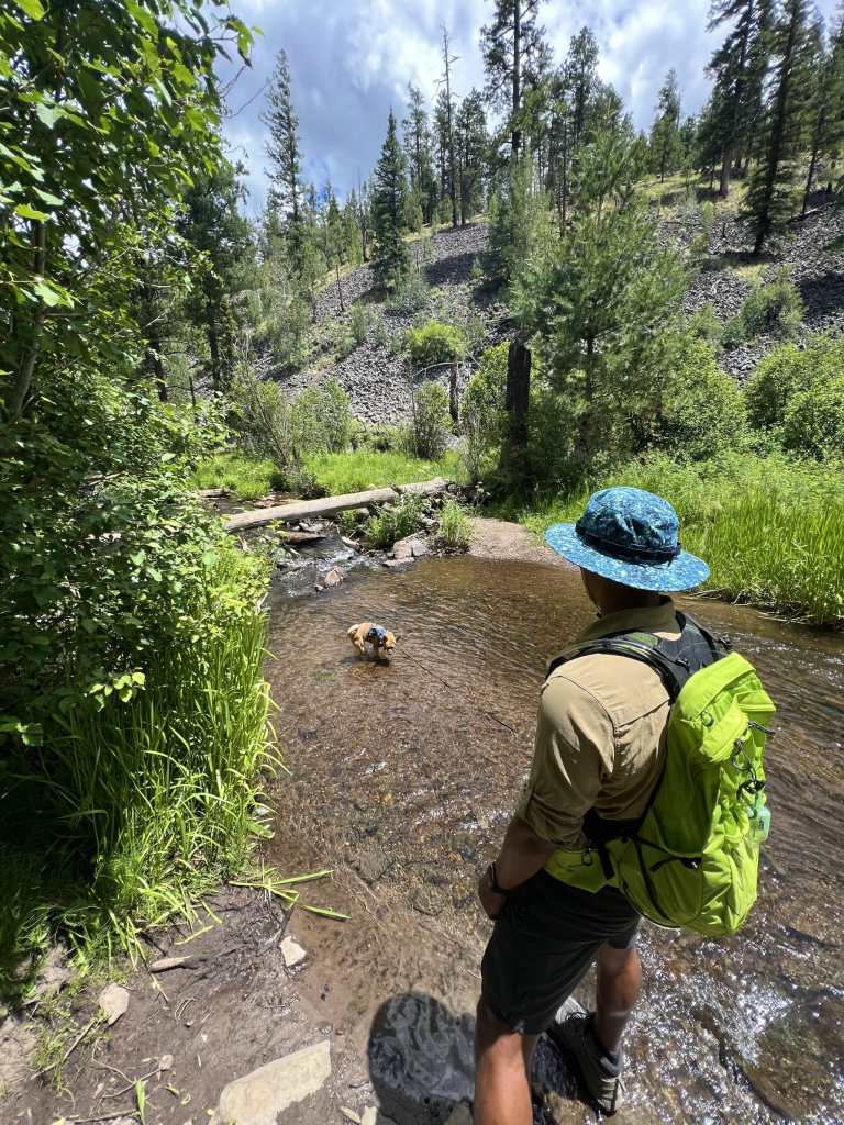 Government Springs 95A Trail in the White Mountains of the Apache-Sitgreaves National Forest near Greer, Arizona