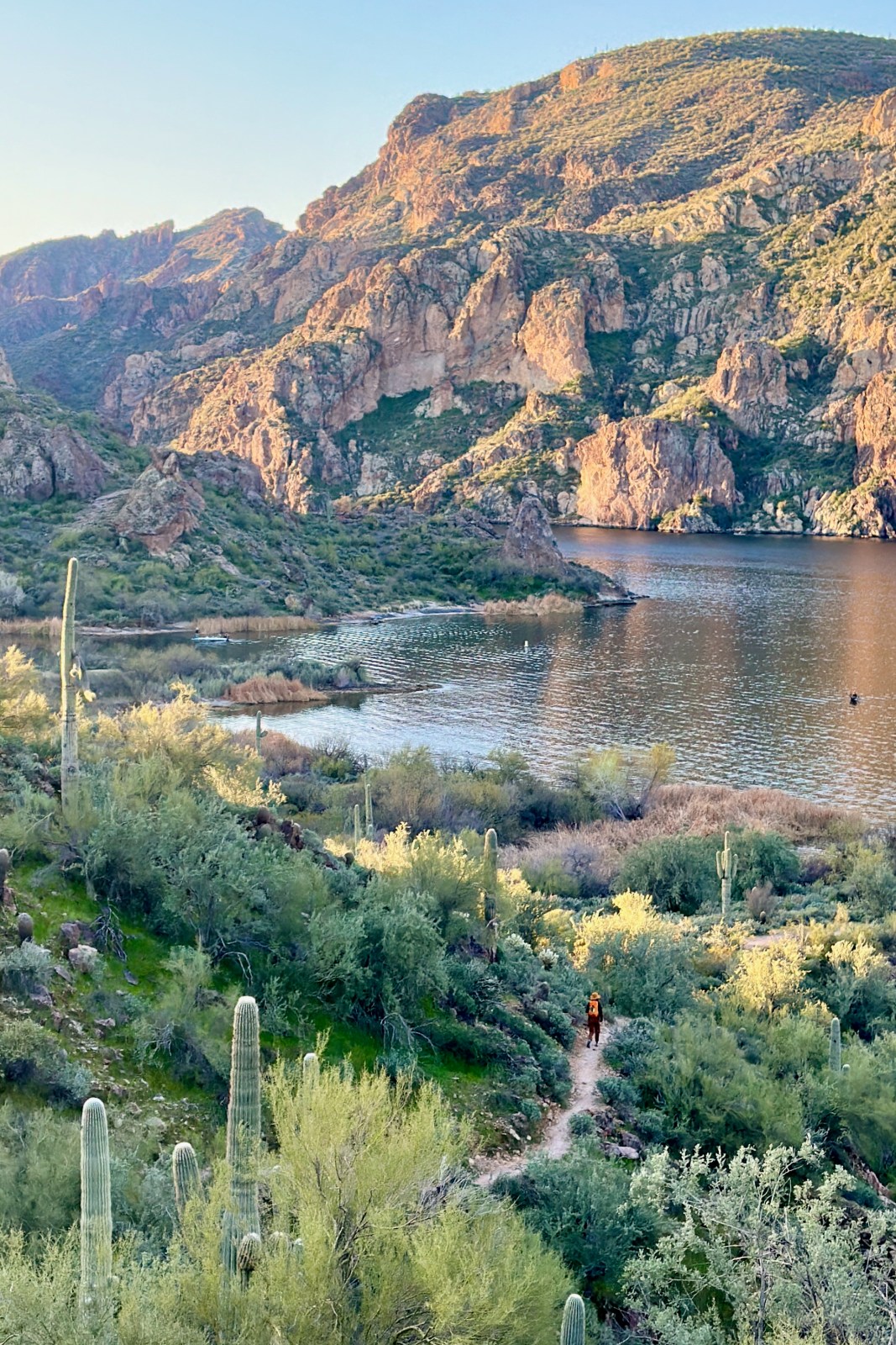 Where to use the america the beautiful pass