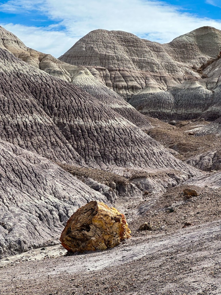 Blue Mesa Trail Petrified Forest National Park