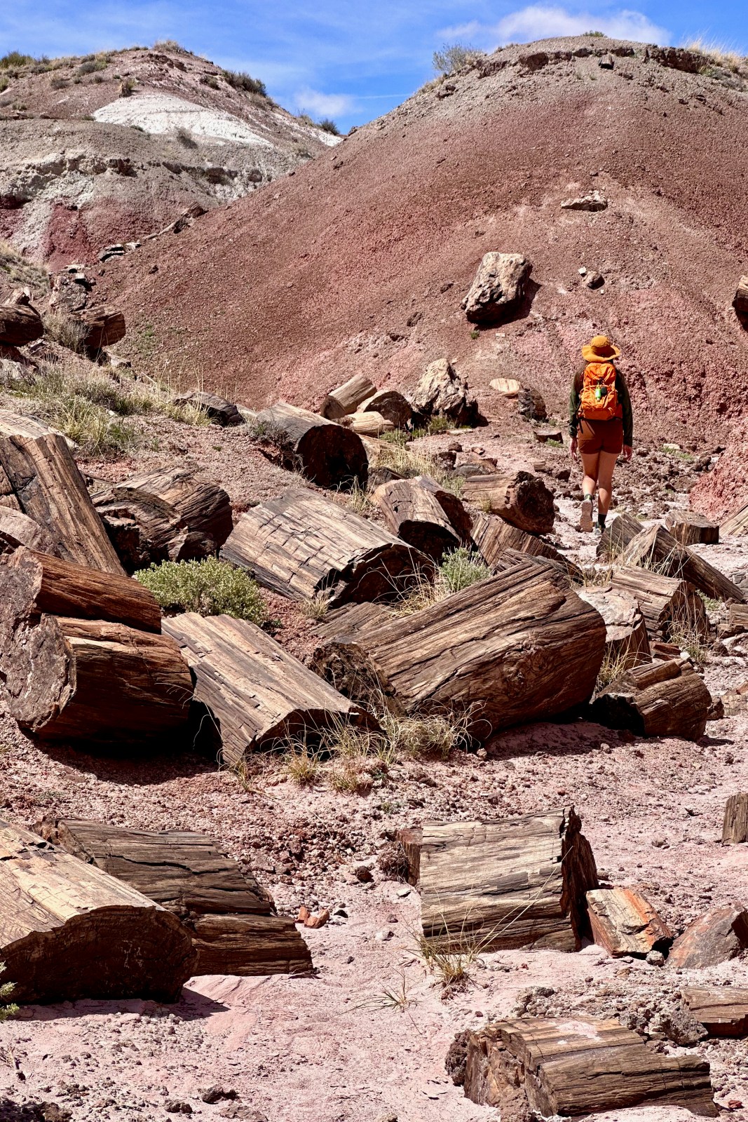 Where to use America the Beautiful Pass