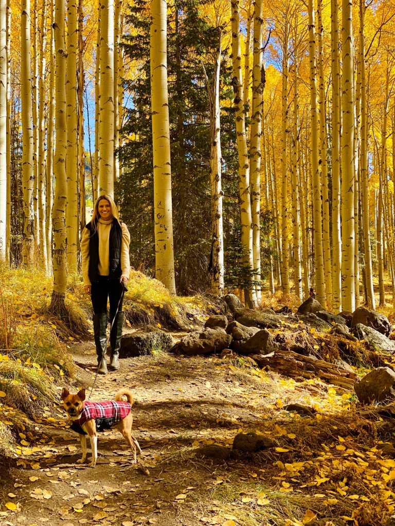 Aspen loop dog friendly 