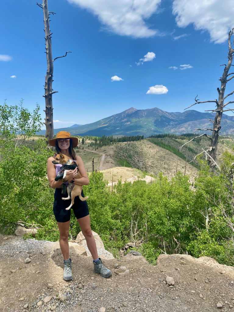 Elden Lookout dog friendly