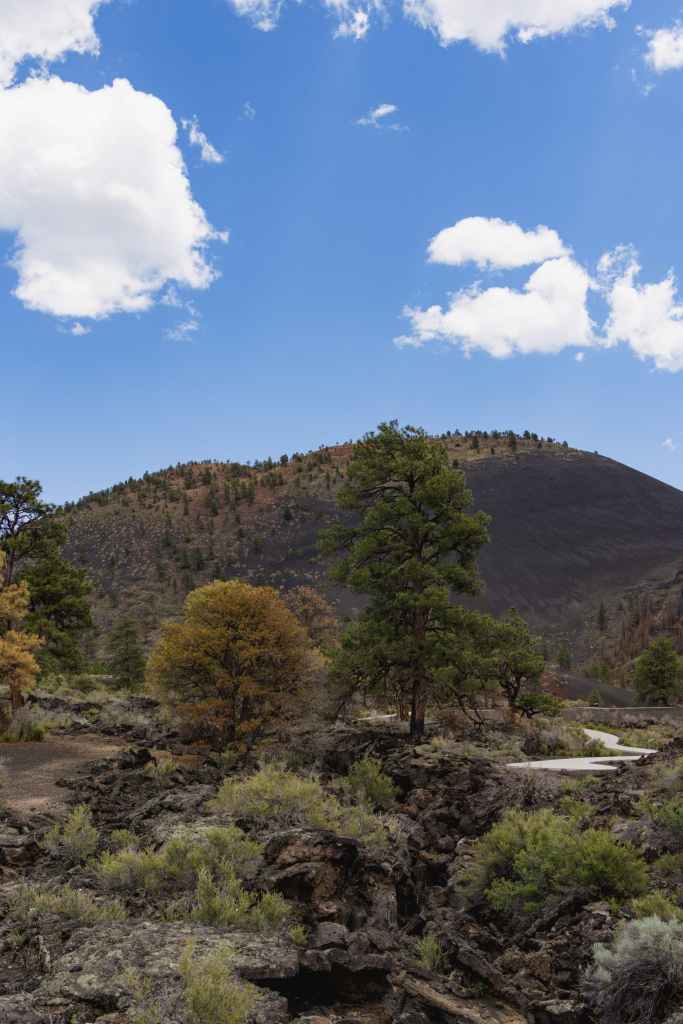 Lava Flow Trail - Sunset Crater Volcano National Monument - Flagstaff, Arizona