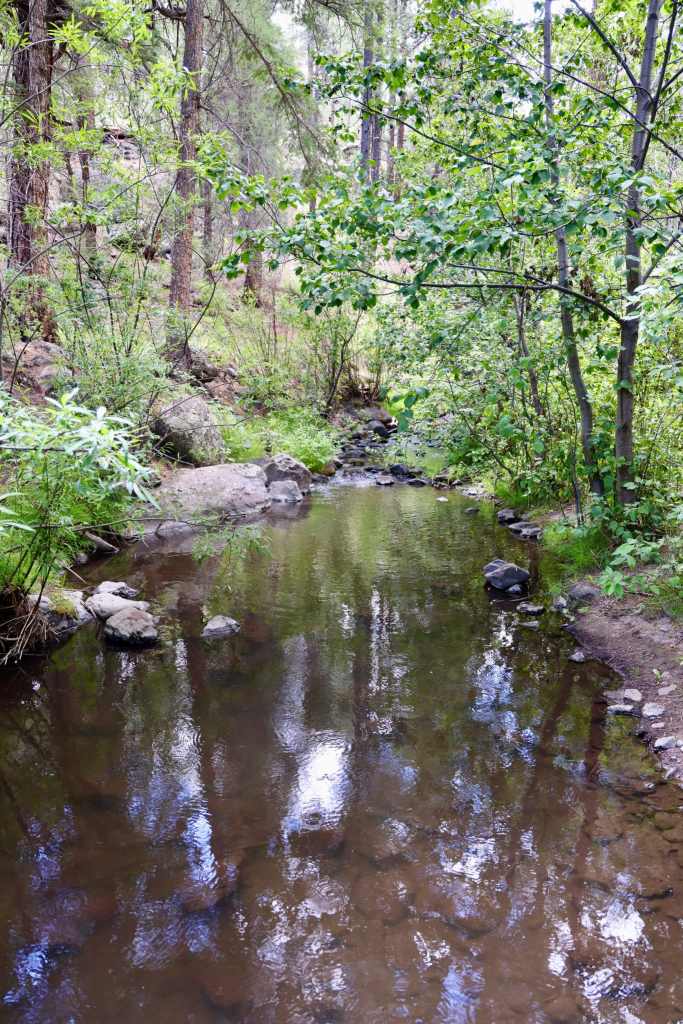 South Fork Trail of the Little Colorado River in the White Mountains of the Apache-Sitgreaves National Forest
