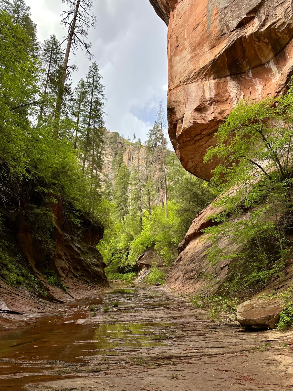 Best arizona water spots