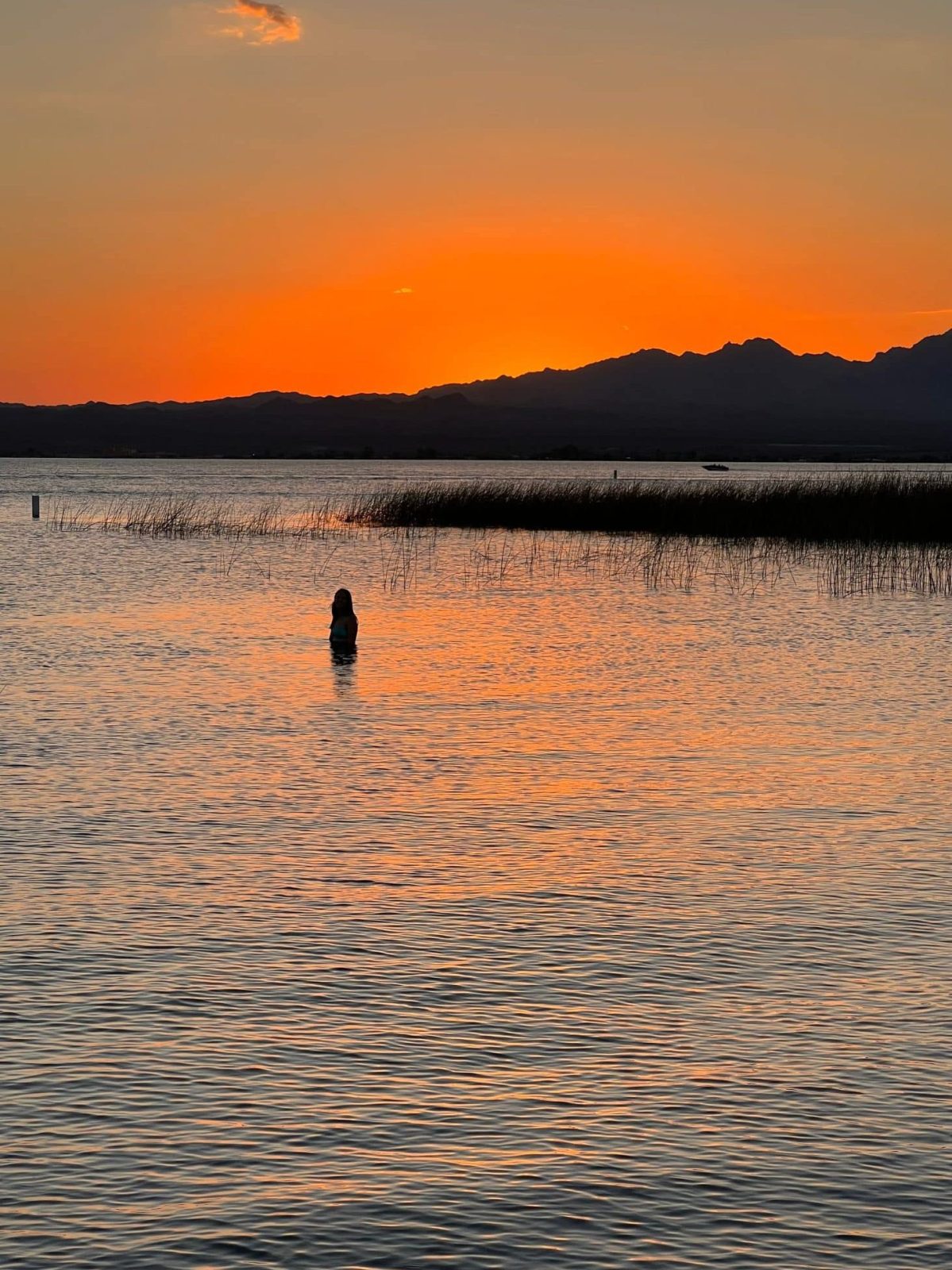 Lake Havasu swimming spot