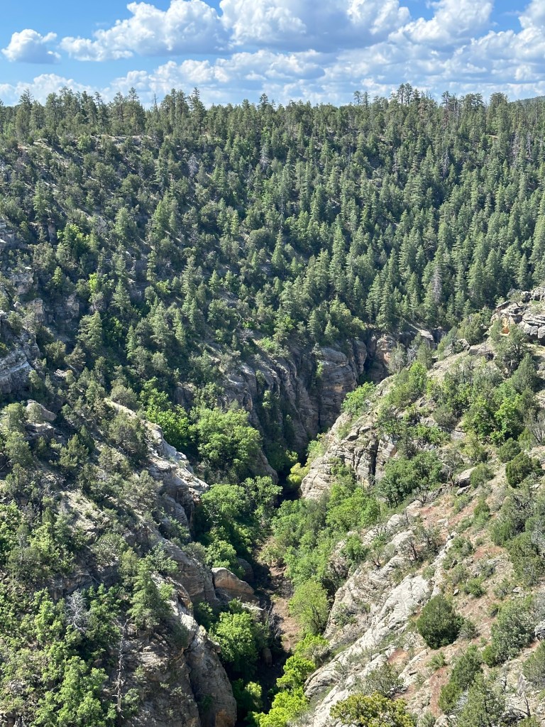 Walnut Canyon National Monument, Flagstaff, Arizona