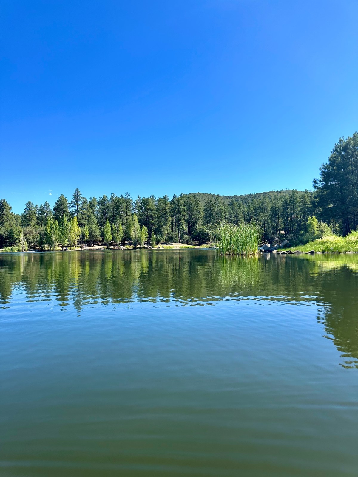 Best arizona water spots