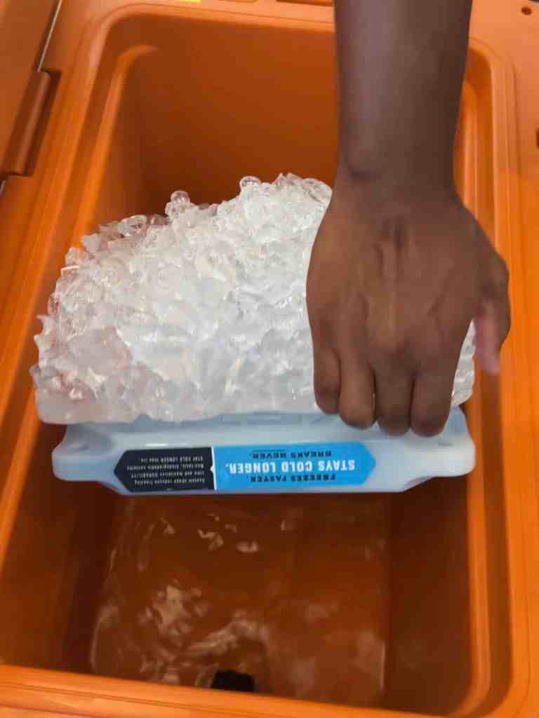 RTIC cooler after 1 night of camping and an additional day in our air conditioned house