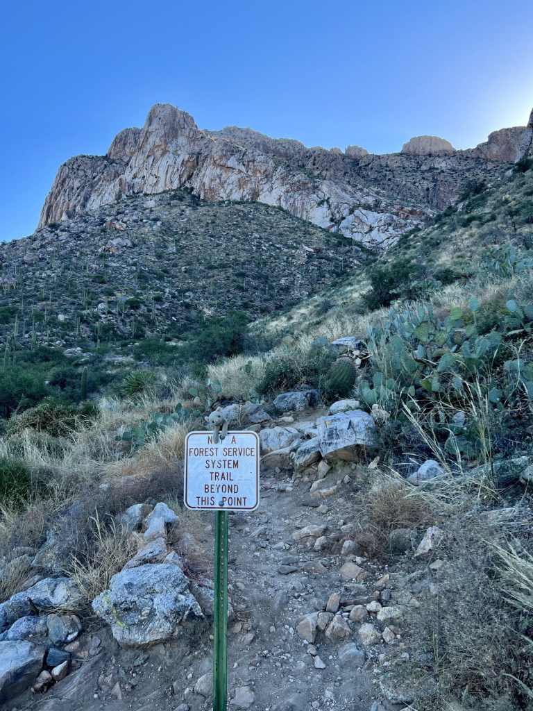 Pusch Peak hike in Tucson
