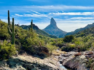 View of Weavers Needle from Dutchman Trail in the Superstition Wilderness - The AZ Hikeaholics