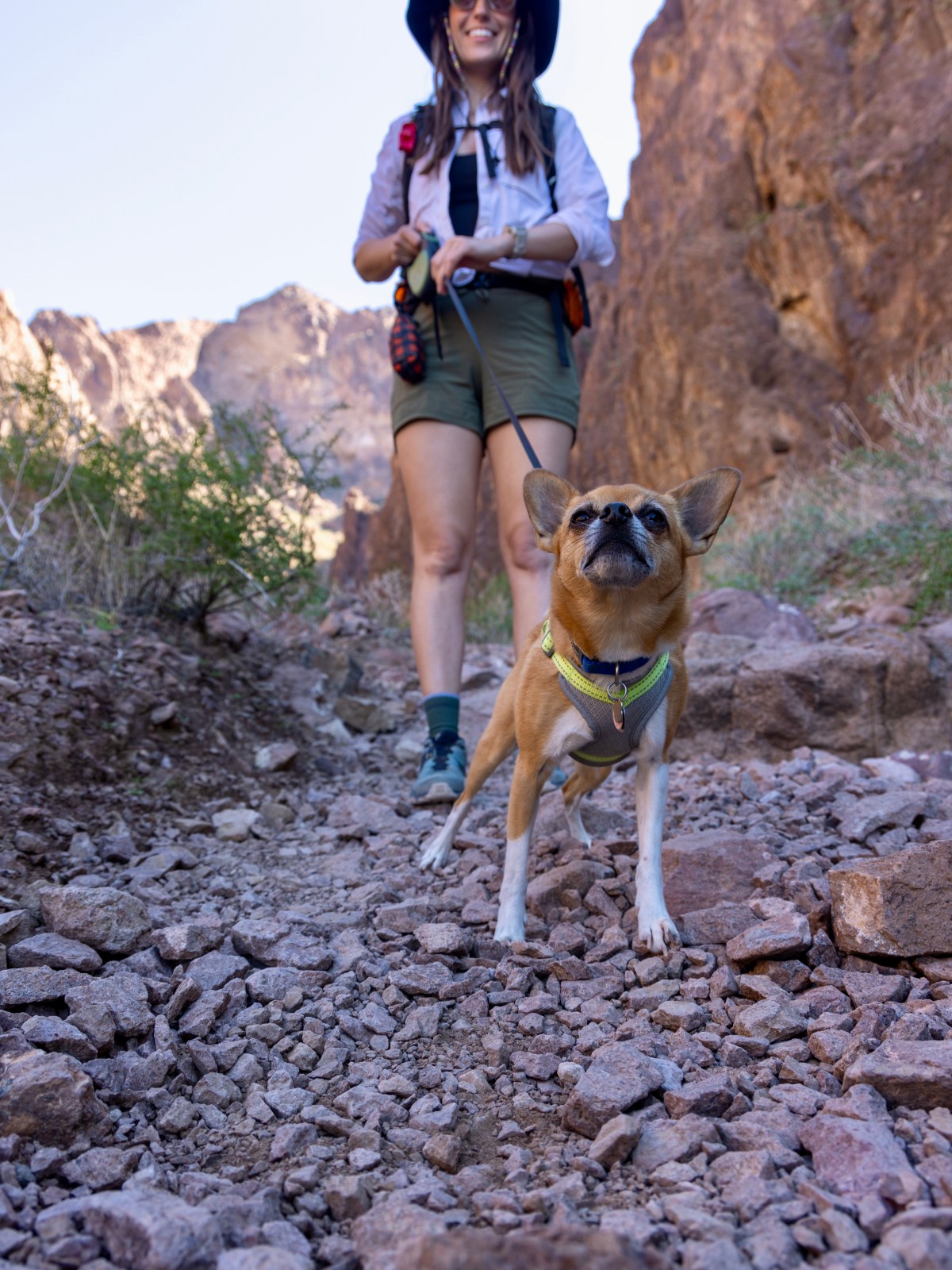Finnick on Palm Canyon Trail at Kofa NWR