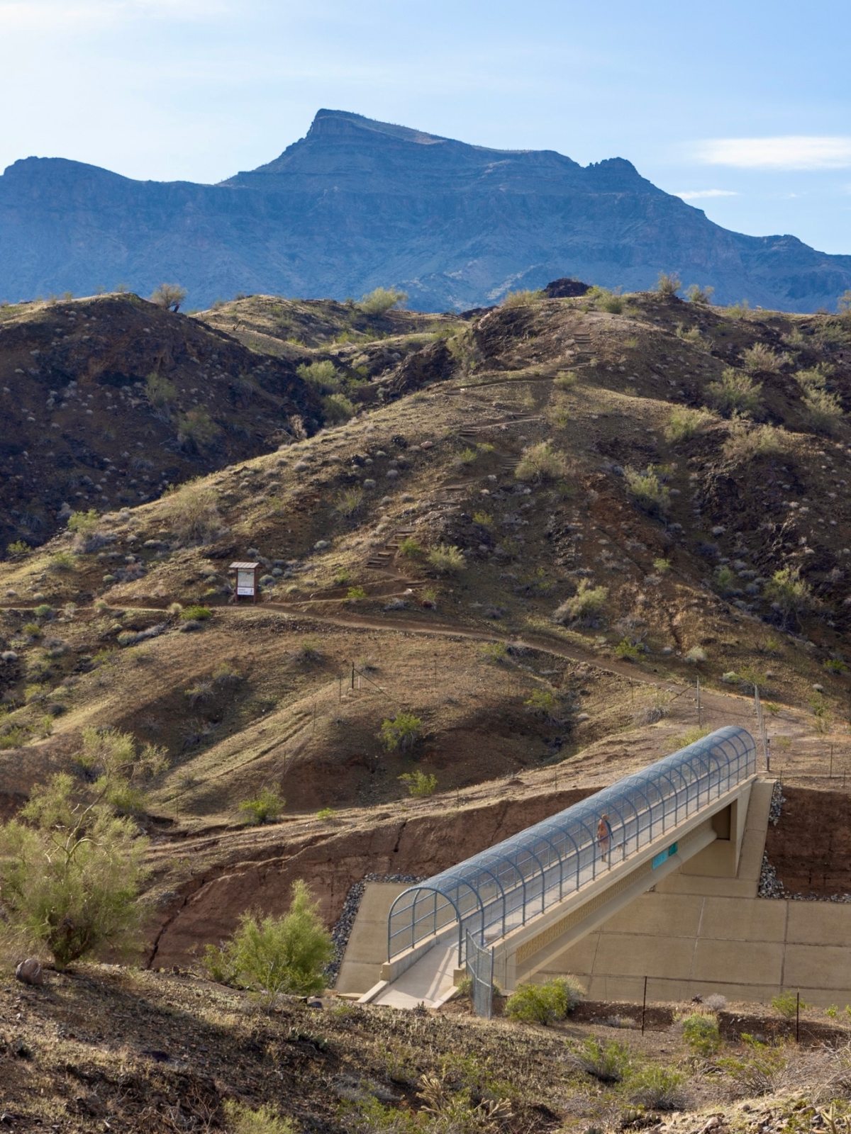Lauren crossing the bridge on Buckskin Trail at Buckskin Mountain State Park