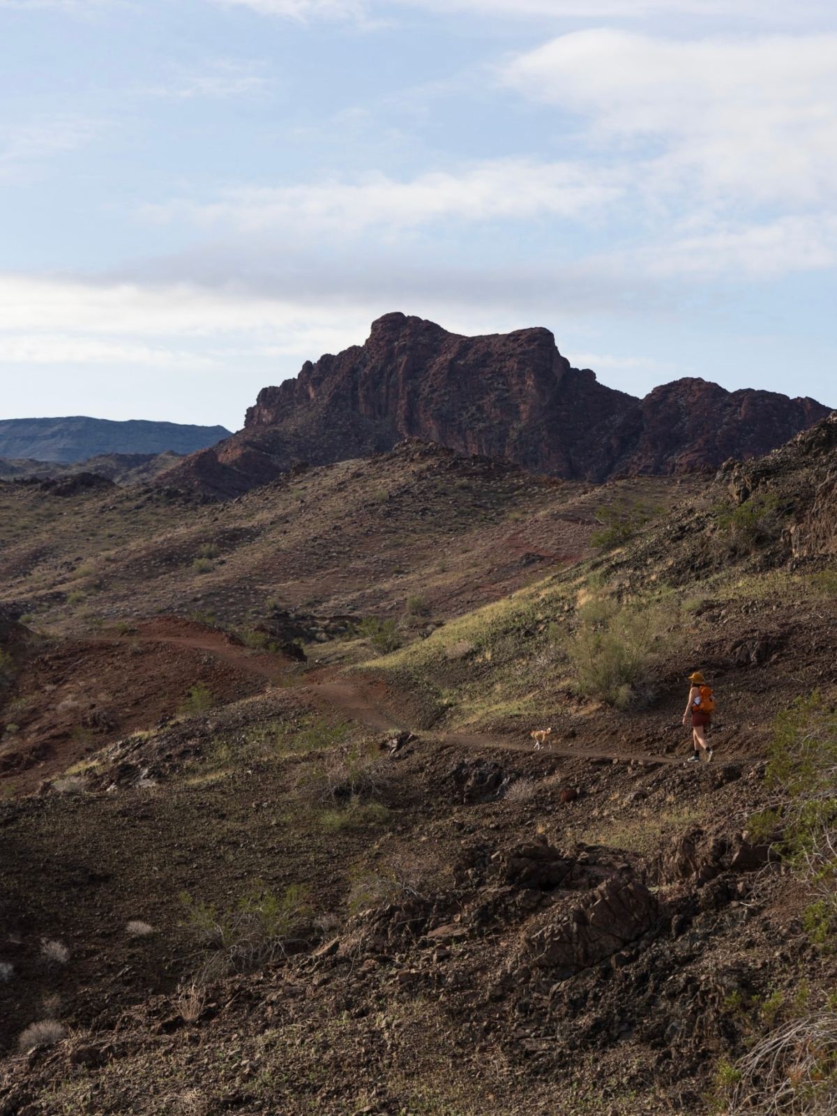 Hiking at Buckskin Mountain State Park