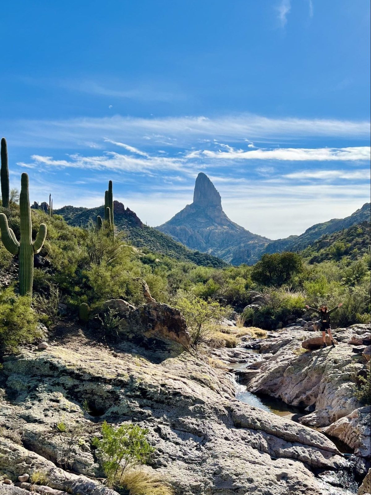 Weavers Needle seen from Dutchman Trail 104