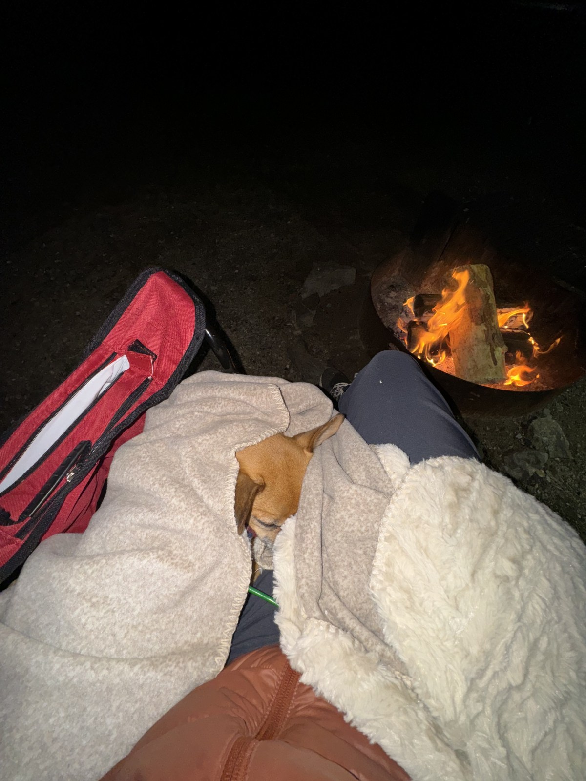 Camping at Buckskin Mountain State Park