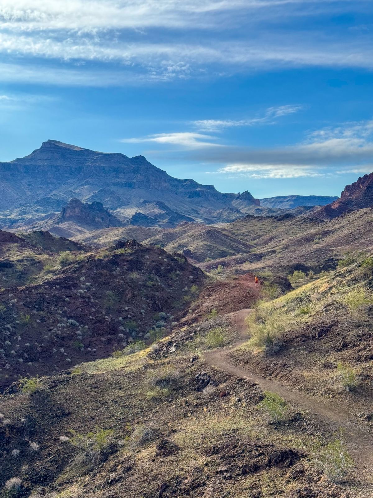 Hiking at Buckskin Mountain State Park