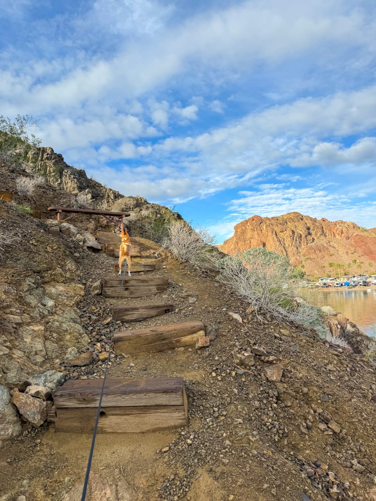 Hiking at Buckskin Mountain State Park