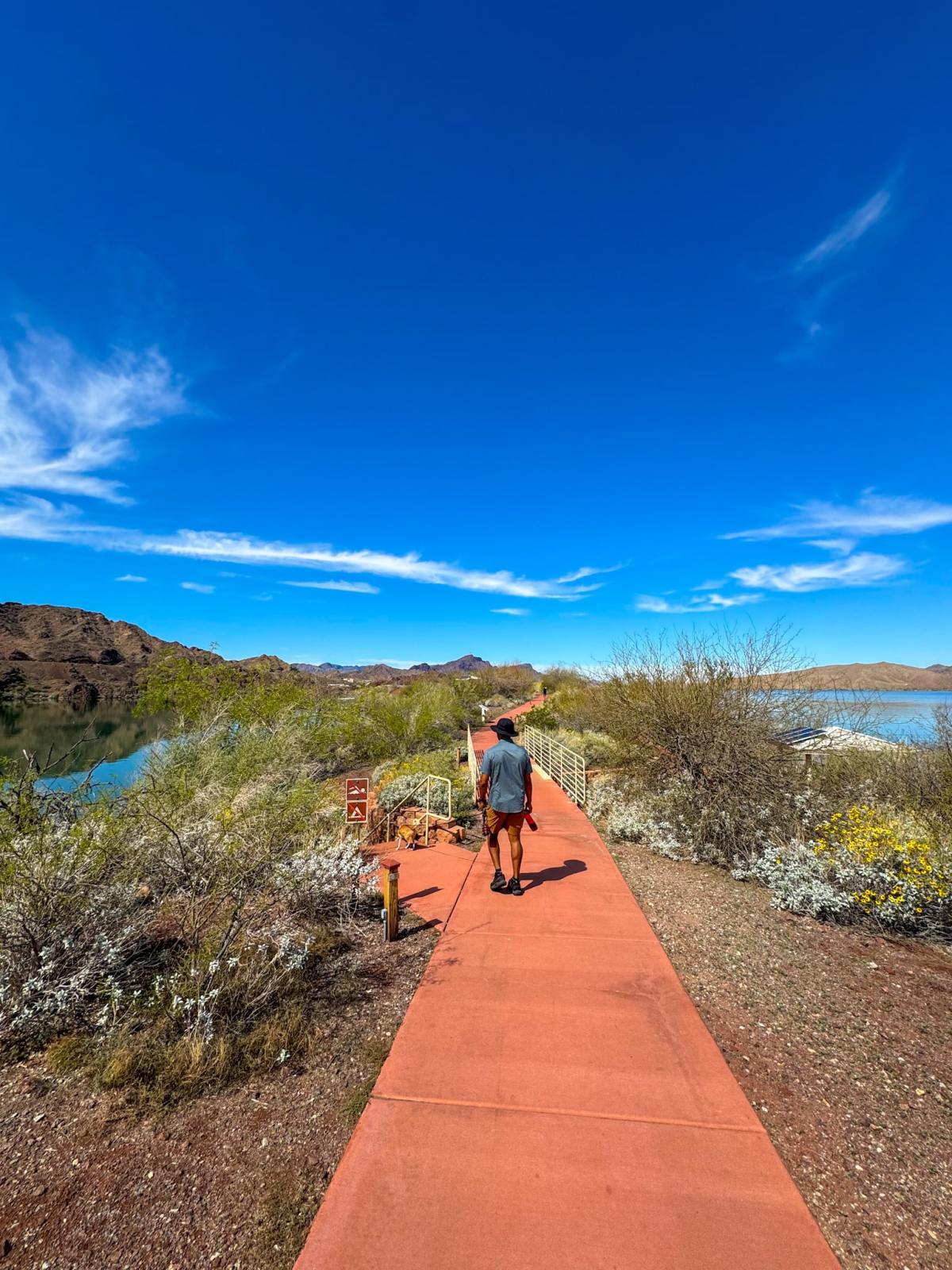 Peninsula Trail at Bill Williams National Wildlife Refuge