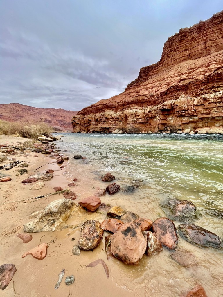 The Colorado River at Lees Ferry of Glen Canyon National Recreation Area