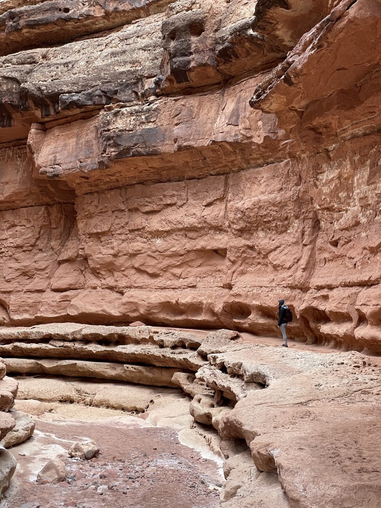 Cathedral Wash Trail, Glen Canyon National Recreation Area