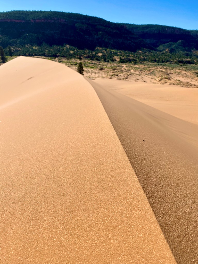Coral Pink Sand Dunes State Park, Kanab, UT