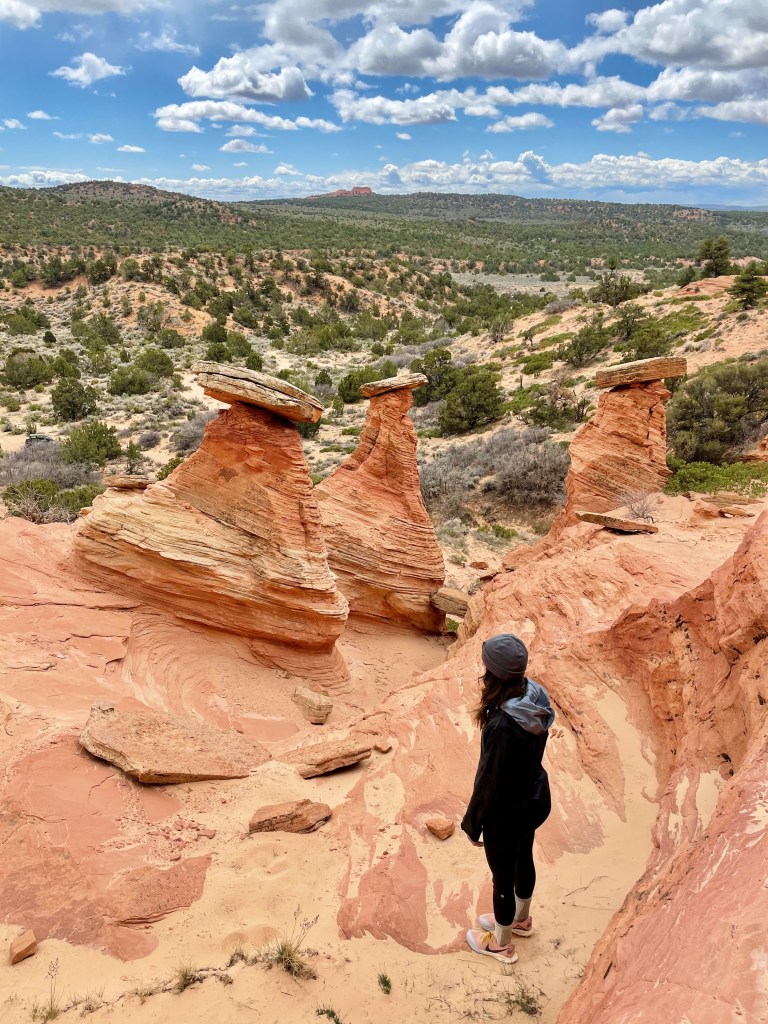 Roam Outdoor Adventure Co Tour