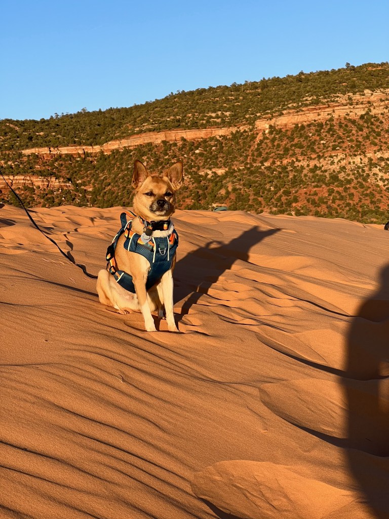 Coral Pink Sand Dunes State Park