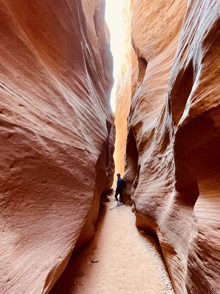 Wire Pass in Paria Canyon - Bureau of Land Management