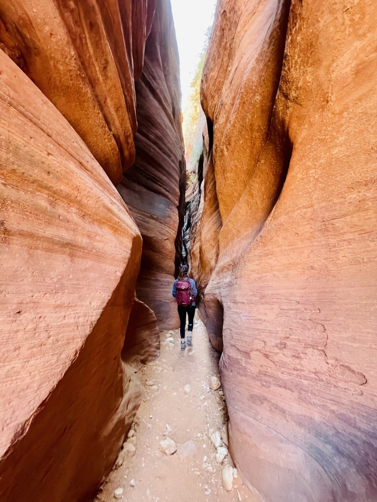 Wire Pass in Paria Canyon - Bureau of Land Management