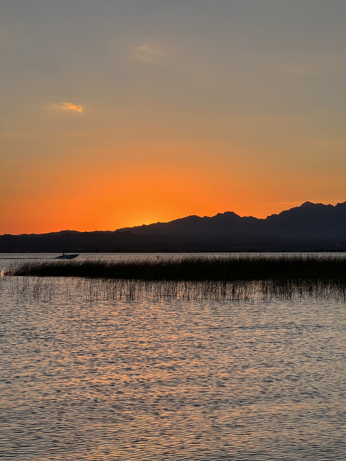 Lake Havasu State Park, Arizona