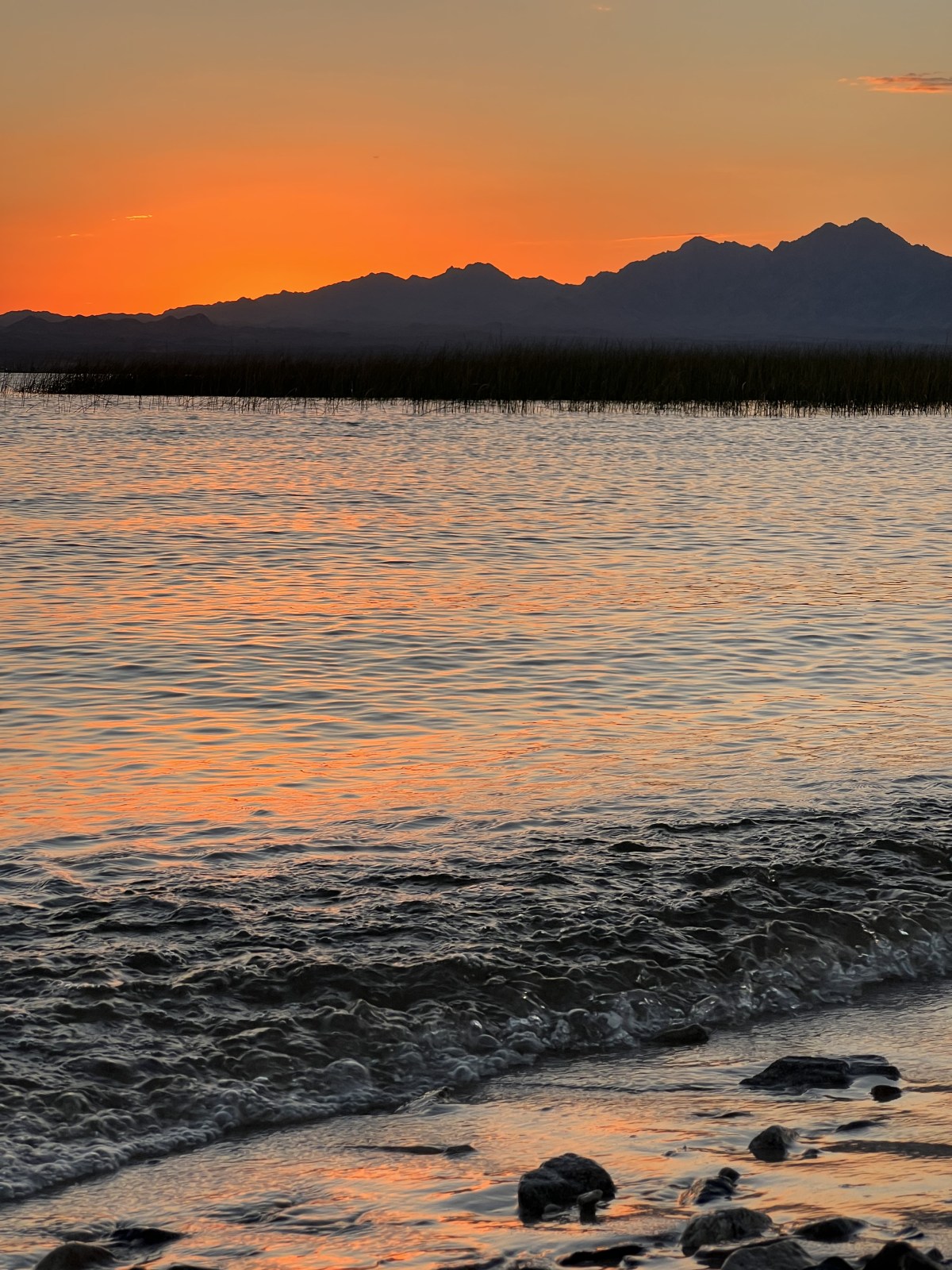 Lake Havasu State Park, Arizona