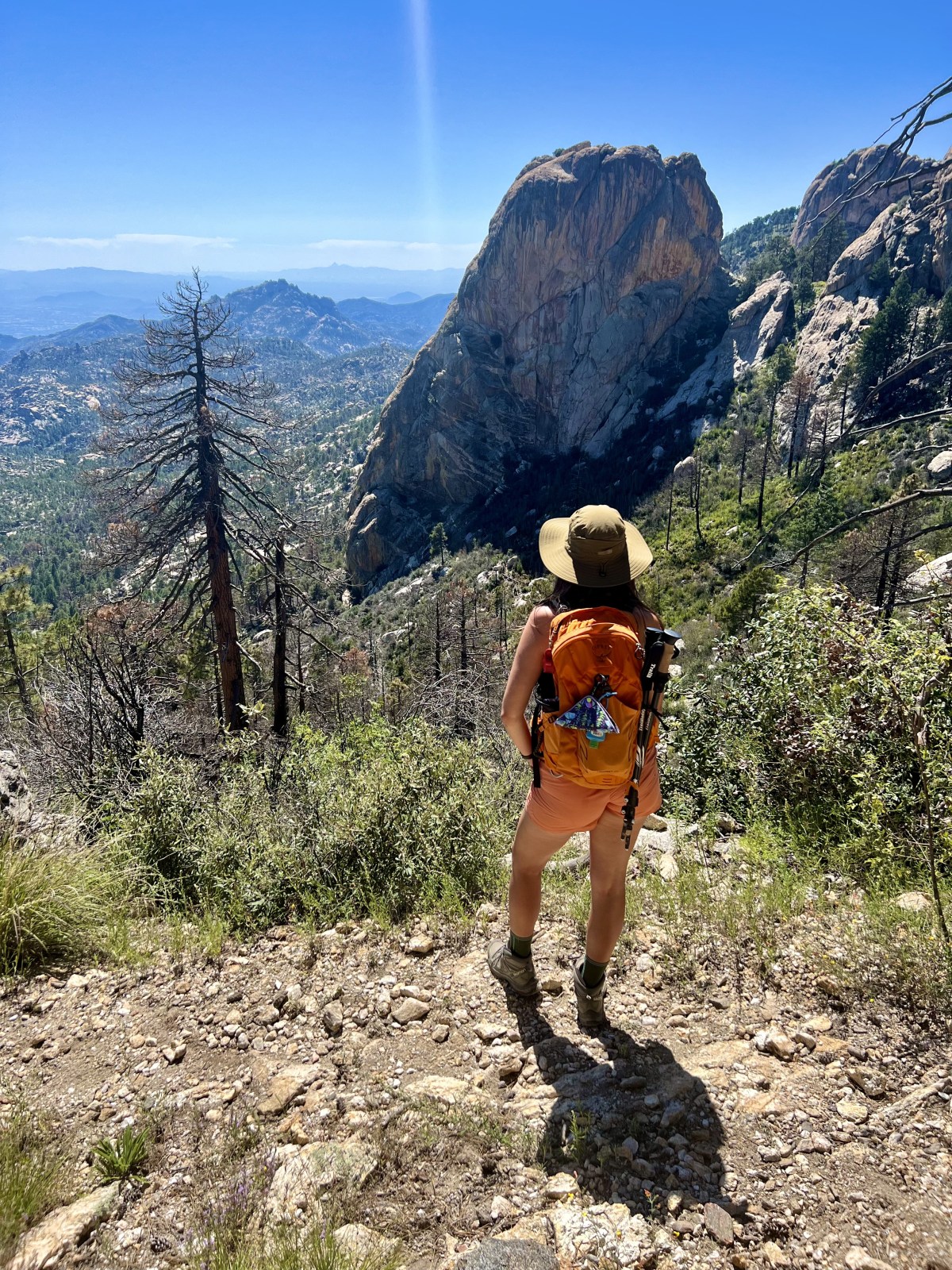 Summer hiking backpack